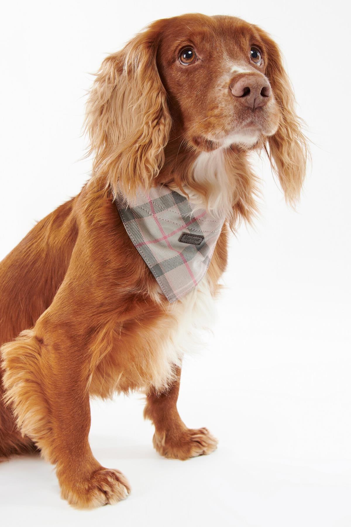 Barbour Tartan Köpek Bandanası BE91 Taupe-Pink Tartan