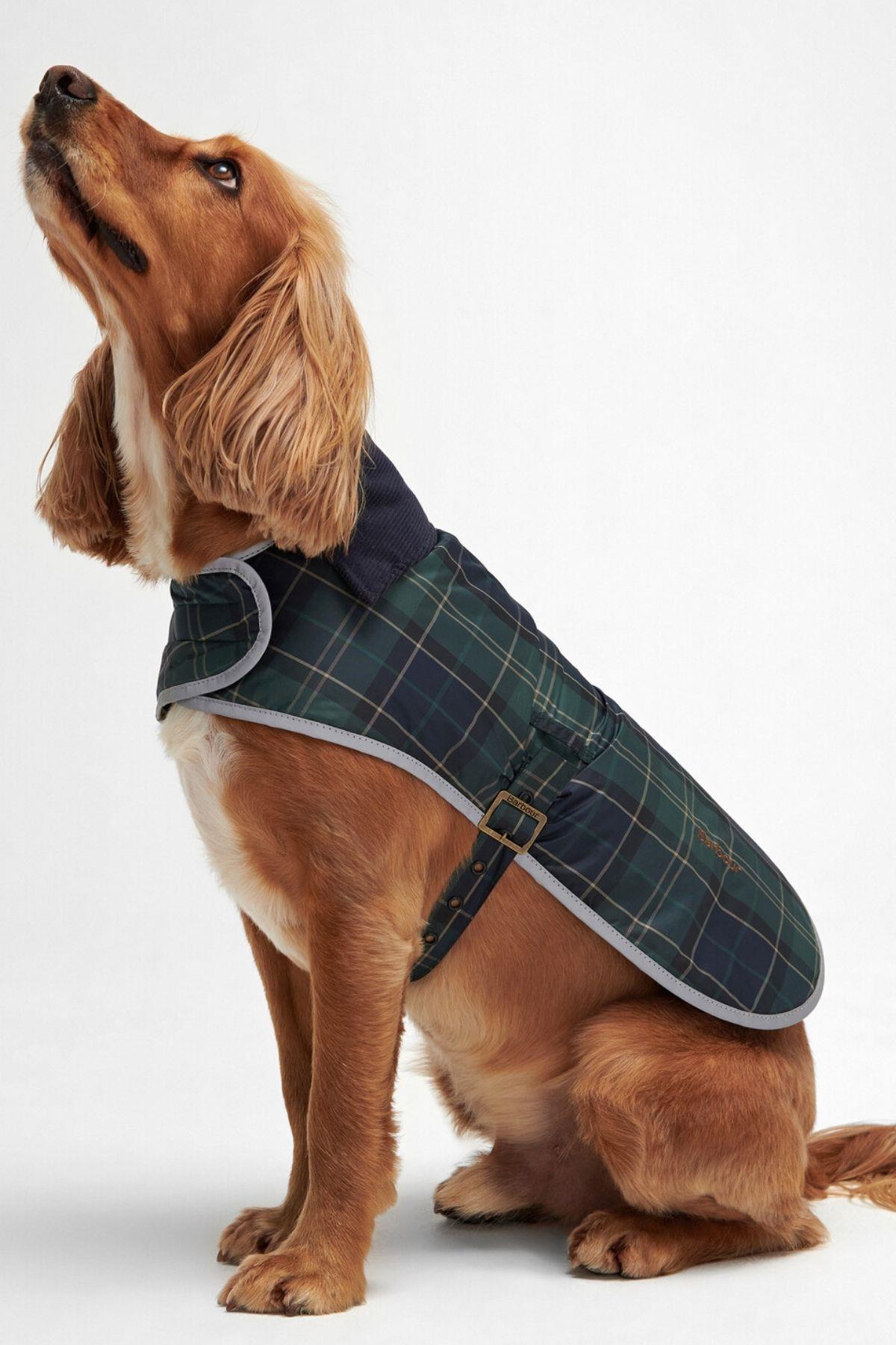 Barbour Wetherham Ekose Köpek Montu TN23 Green Loch Tartan