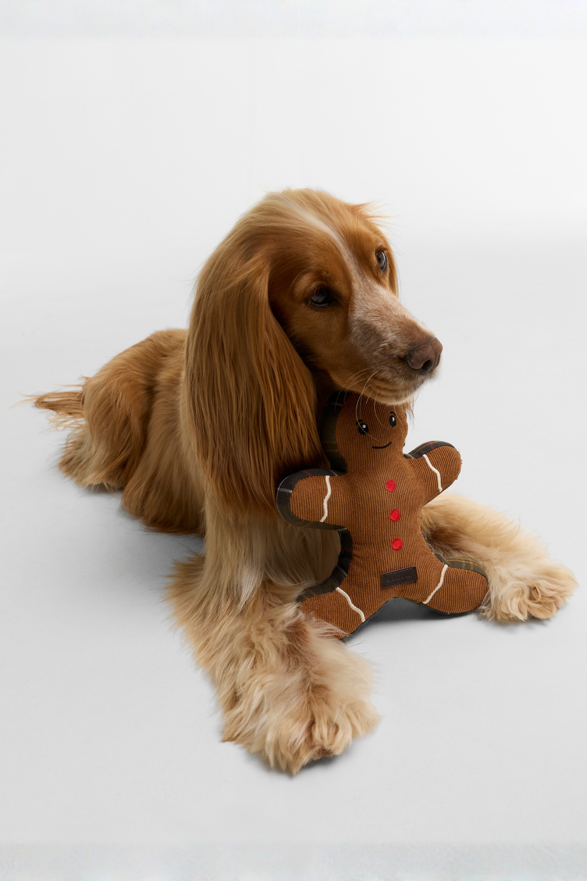 Barbour Dogs Gingerbread Köpek Oyuncağı BR11 Brown