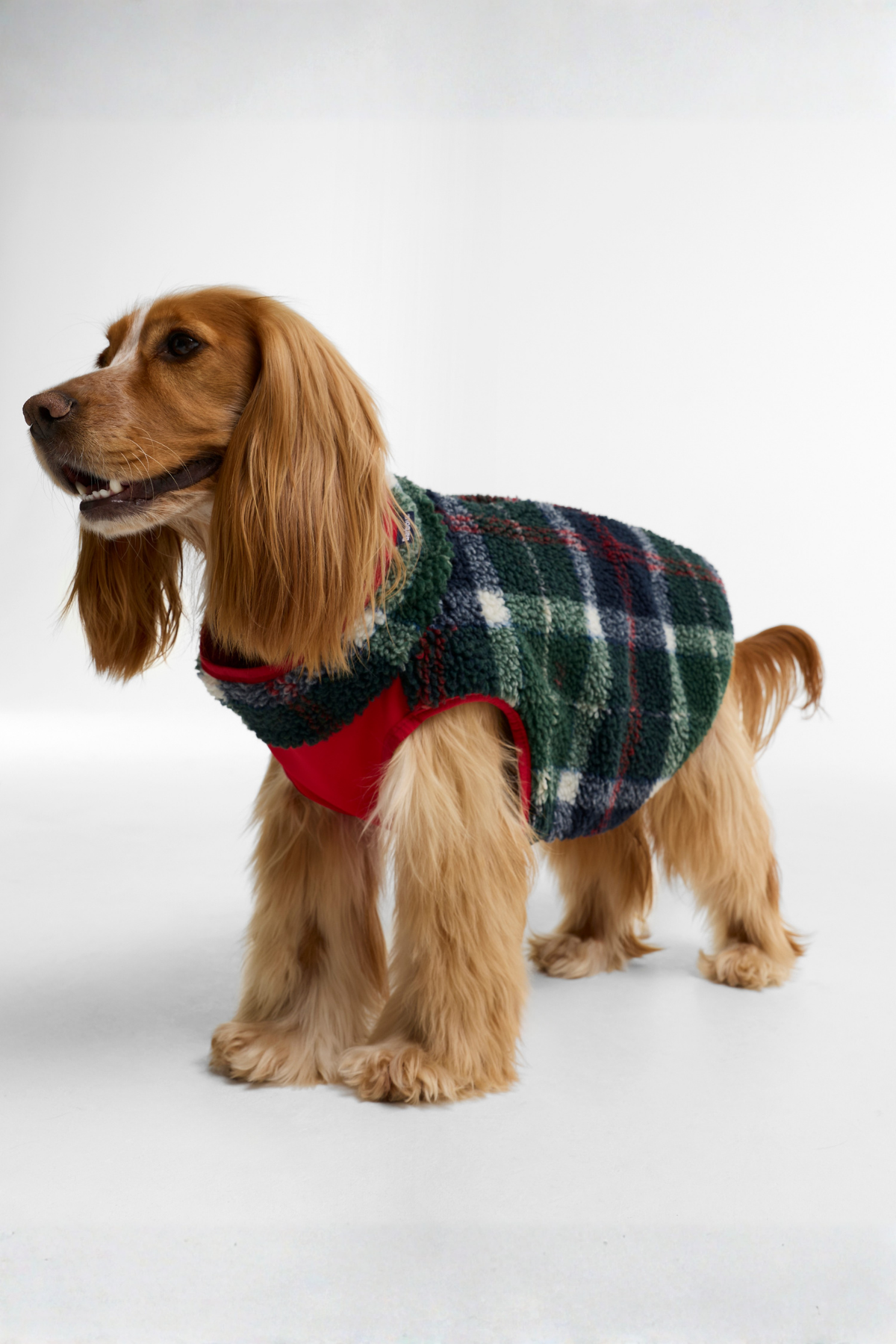 Barbour Field Reversible Köpek Montu TN57 Evergreen Tartan
