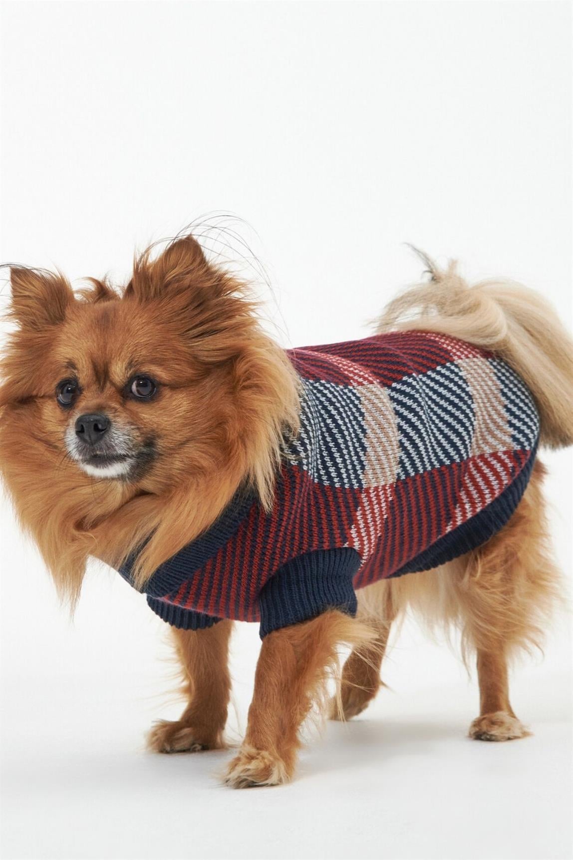 Barbour Finn Köpek Kıyafeti RE75 Cranberry