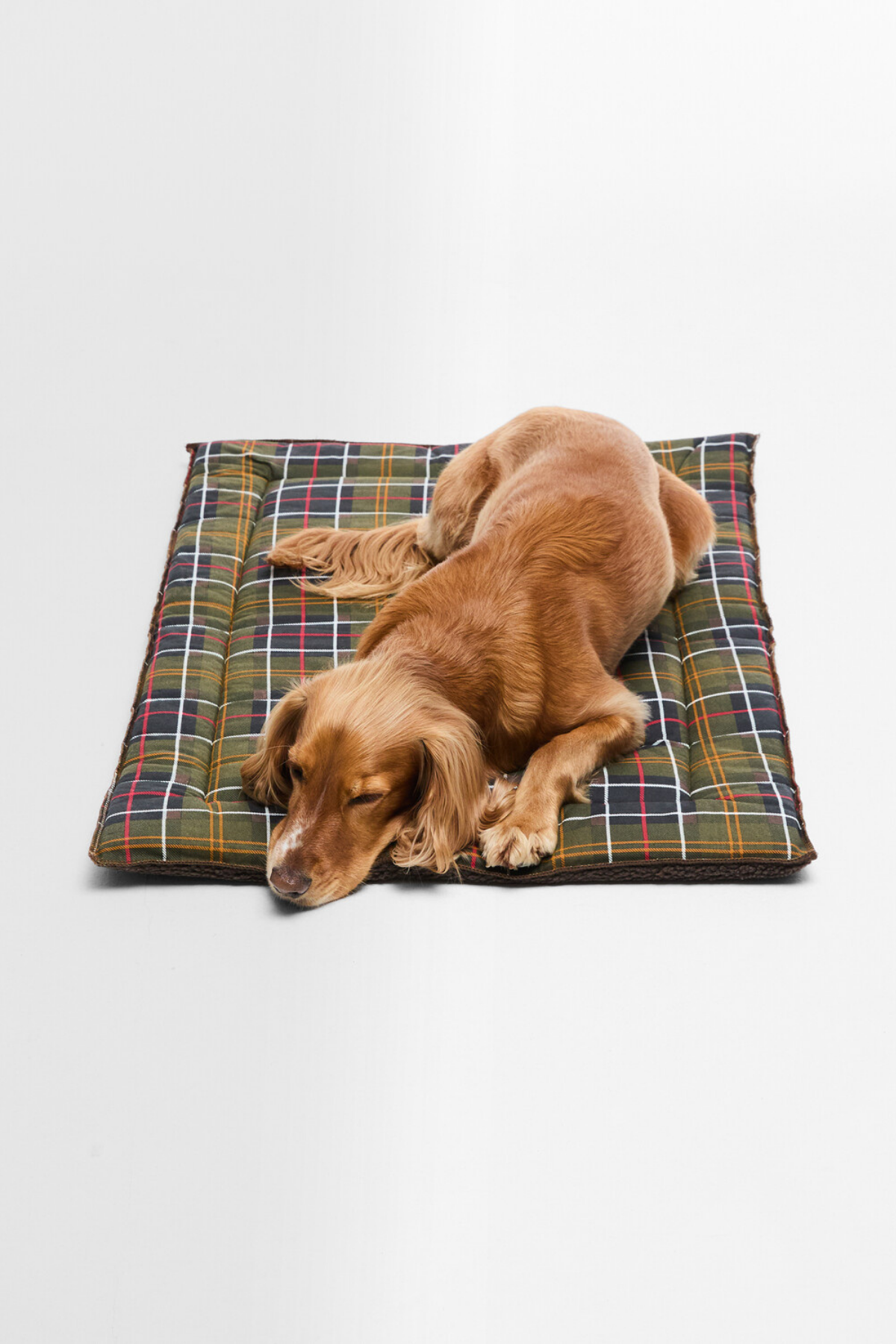 Barbour Köpek Minderi TN11 Classic Tartan