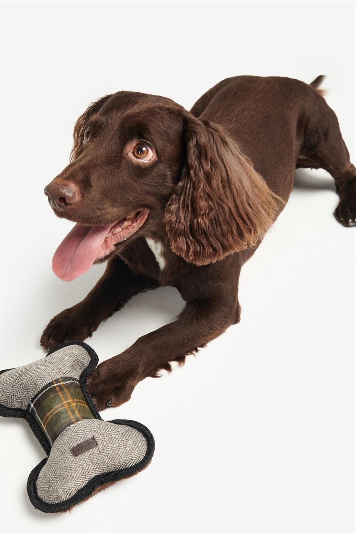 Barbour Köpek Oyuncağı MI11 Bone