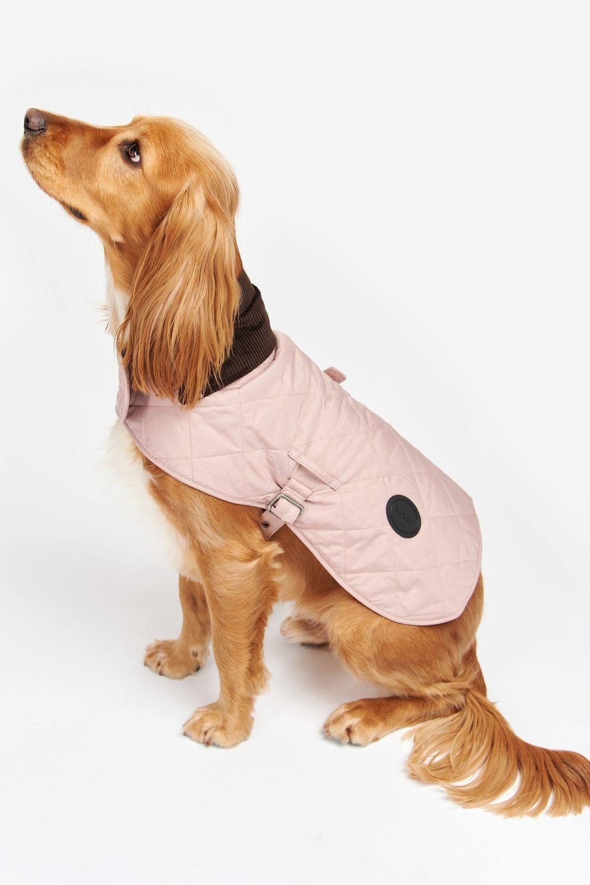 Barbour Quilted Köpek Kıyafeti PI12 Pınk