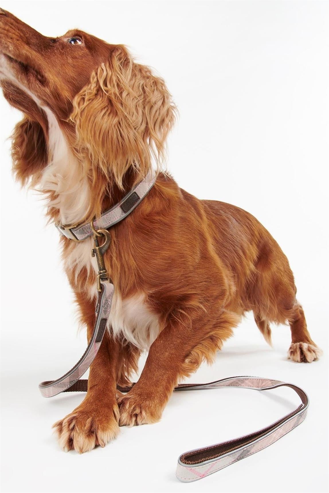 Barbour Reflective Tartan Köpek Tasma Kayışı BE91 Taupe/Pink Tartan