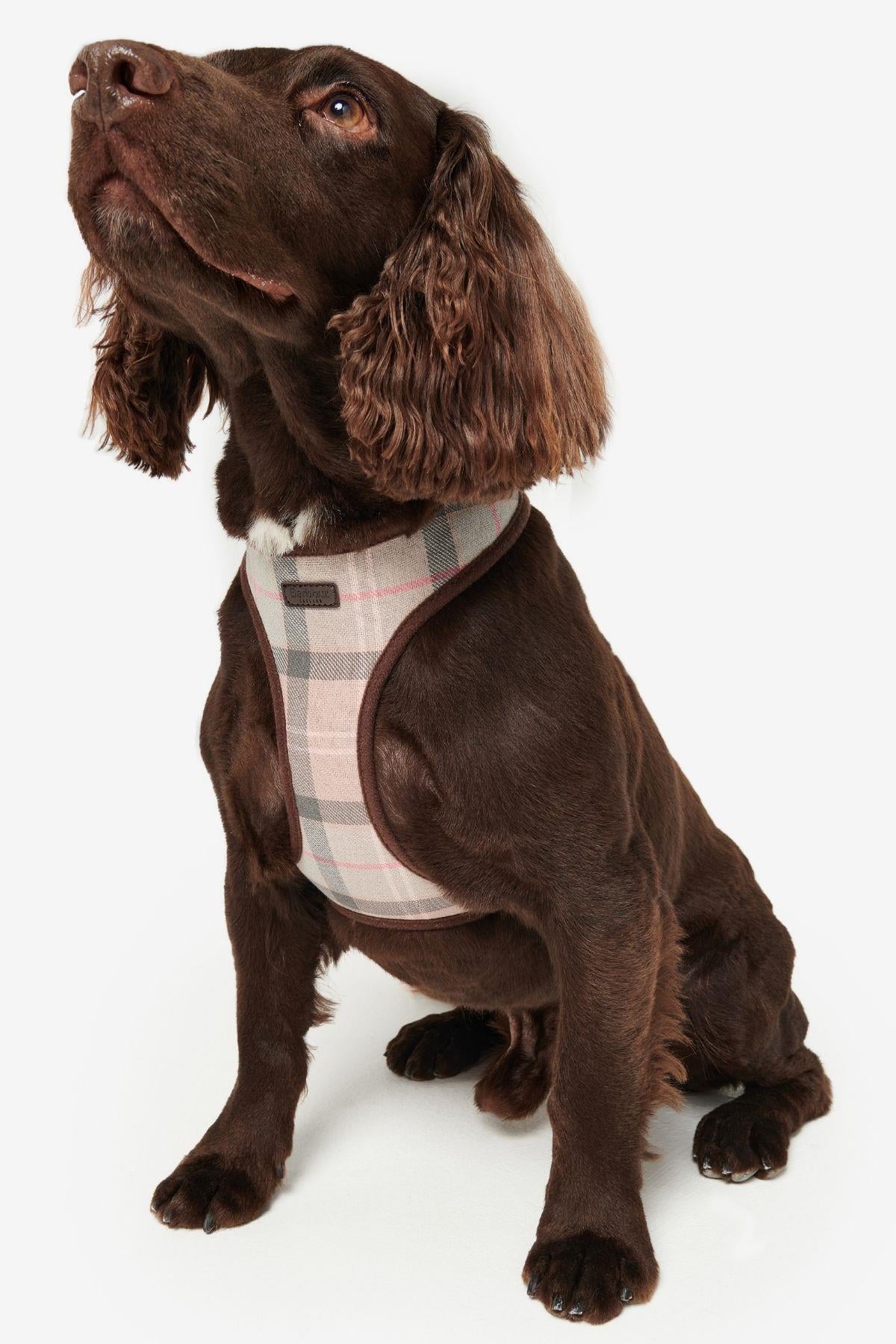 Barbour Tartan Köpek Göğüs Tasması BE91 Taupe-Pink Tartan