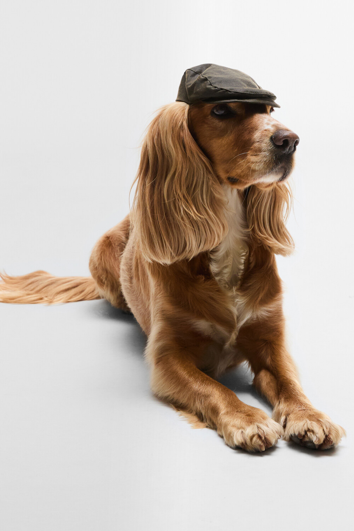 Barbour Yağlı Köpek Kasketi OL71 Olive