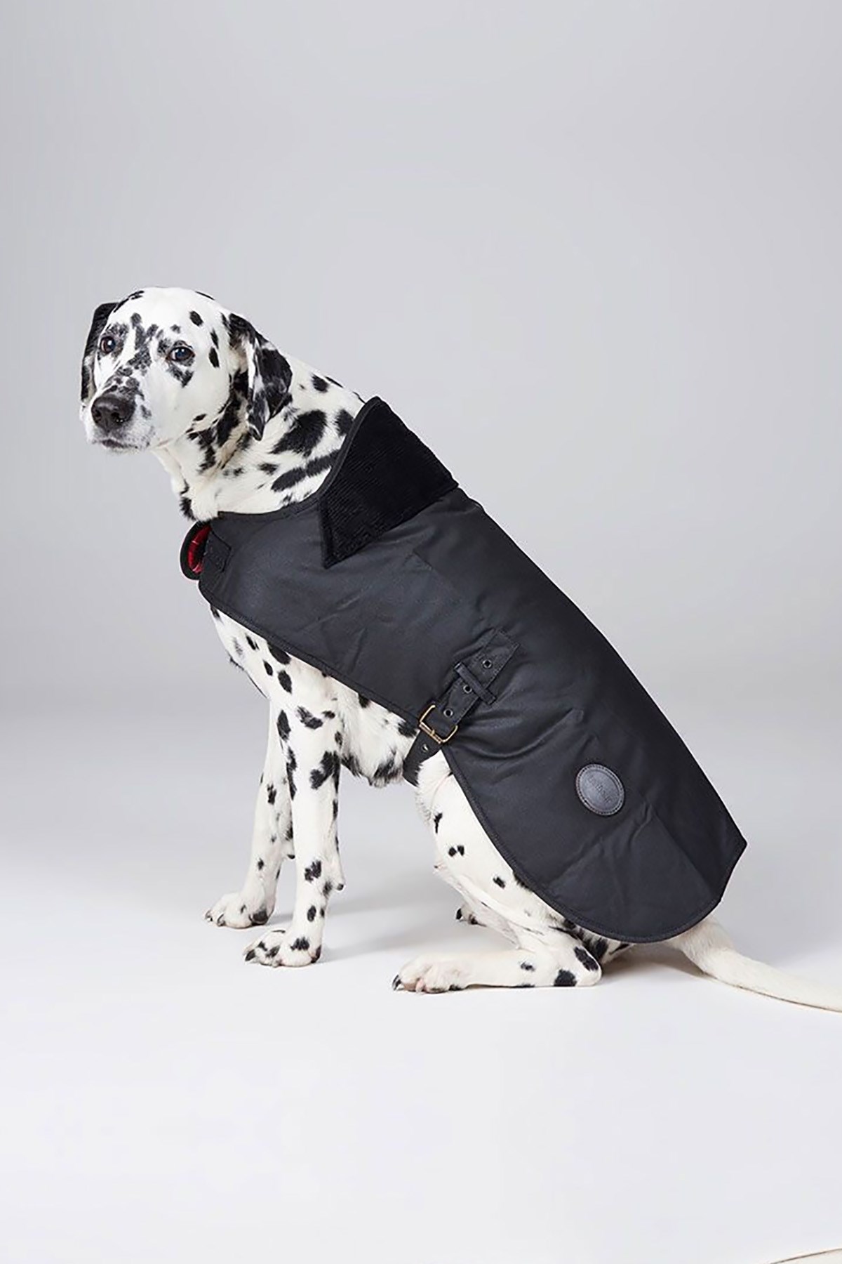 Barbour Yağlı Köpek Kıyafeti BK71 Black
