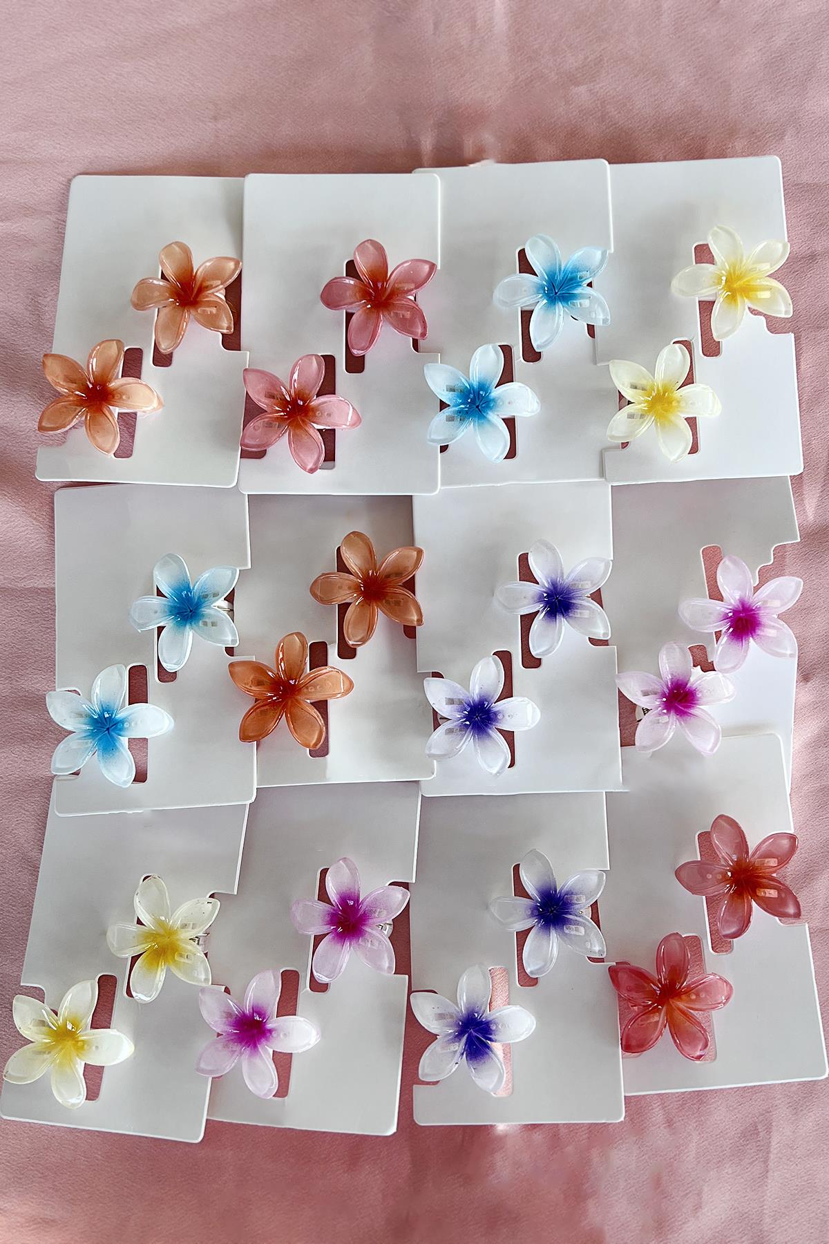 24lü Karışık Renk Pens Lotus Toka Set