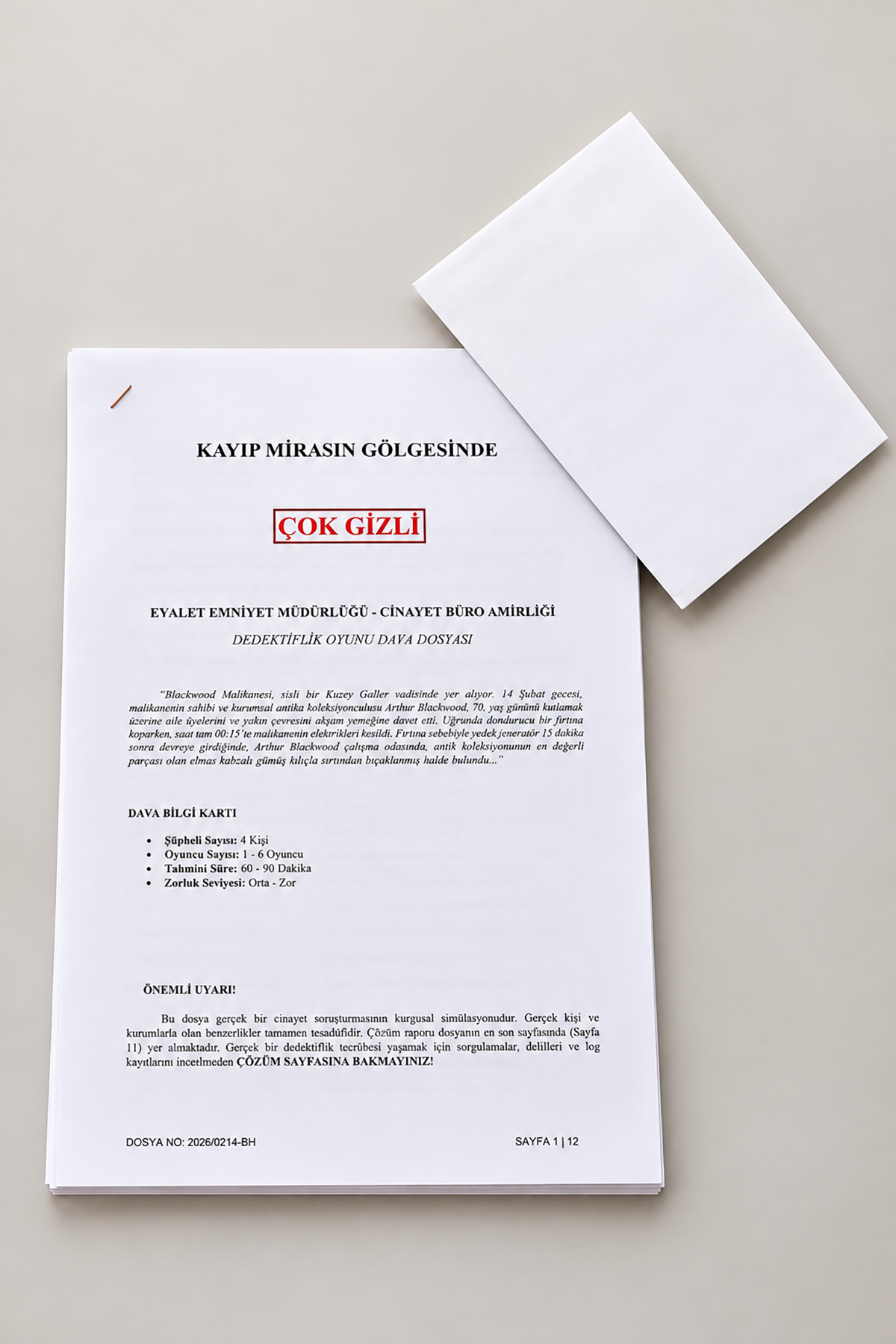 Dedektif Cinayet Çözme Oyunu-Kayıp Mirasın Gölgesinde