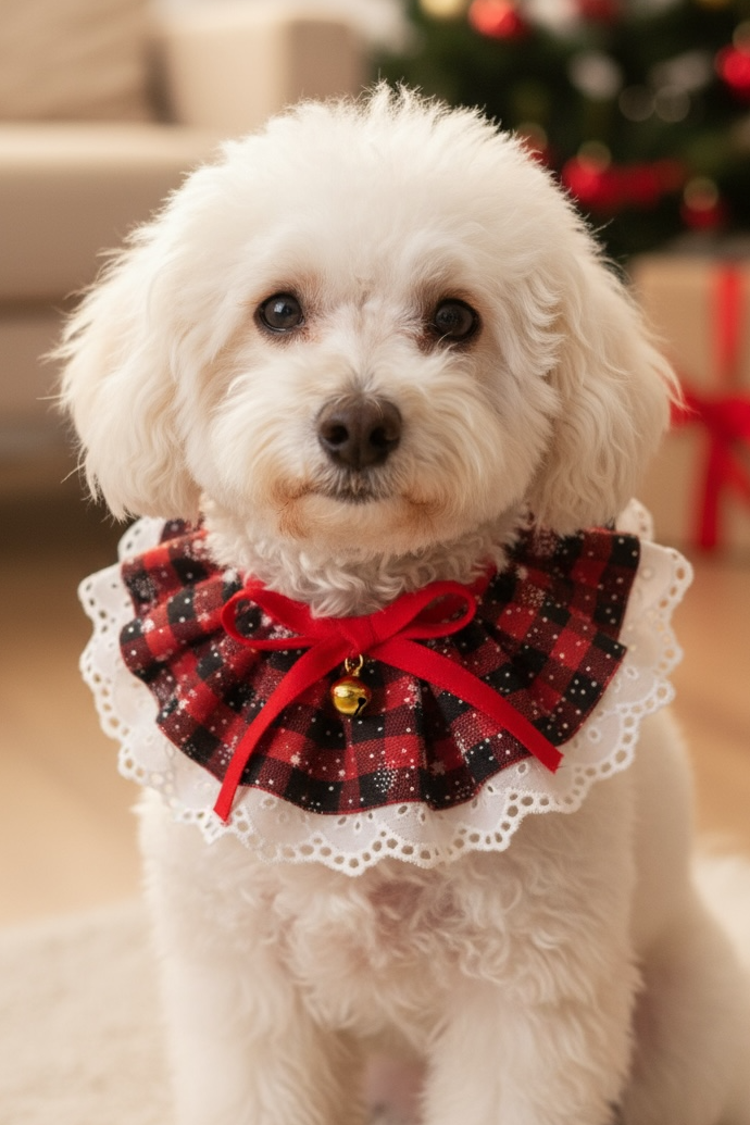 Kırmızı Renk Potikare Ayarlanabilir Desenli Zilli Kedi/ Köpek Tasması