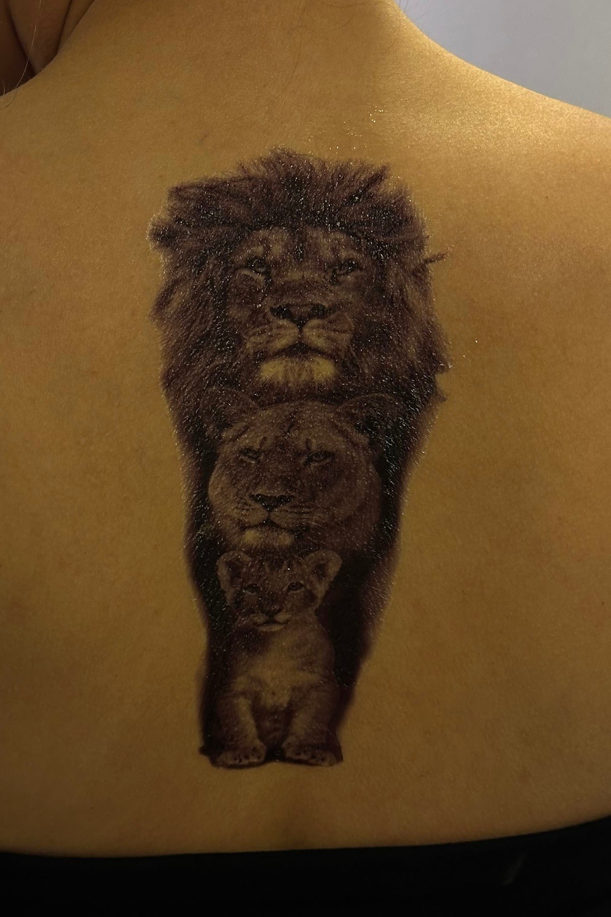  Geçici Aslan Figürlü Büyük Boy Dövme Tattoo
