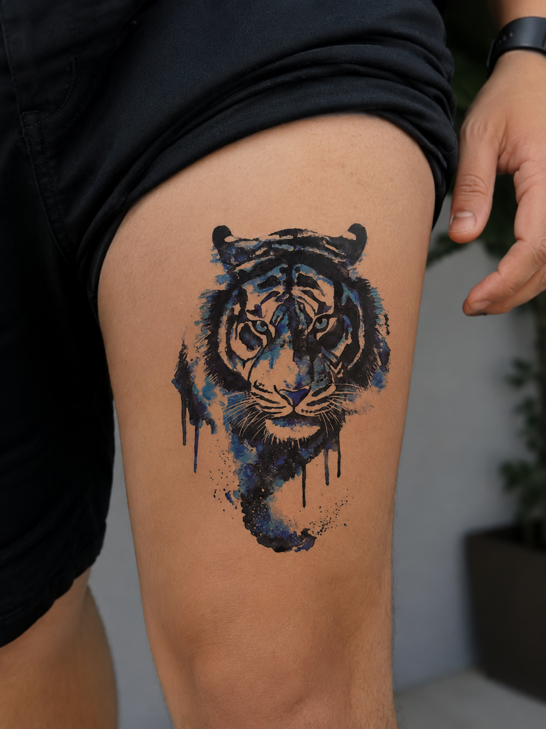 Mavili Kaplan Geçici Dövme Tattoo