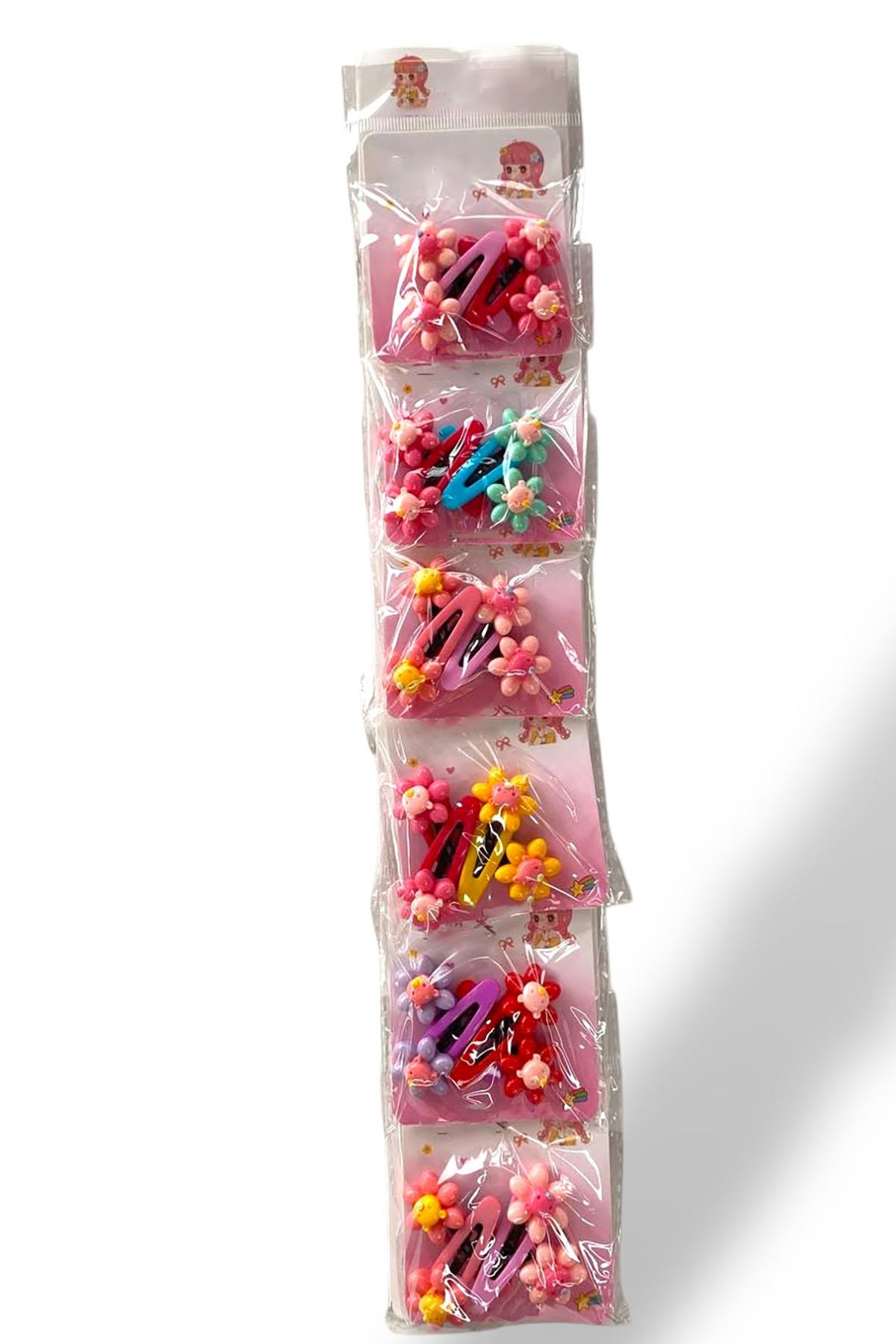 6lı Karışık Renk Çiçek Figürlü Yan Toka Set 