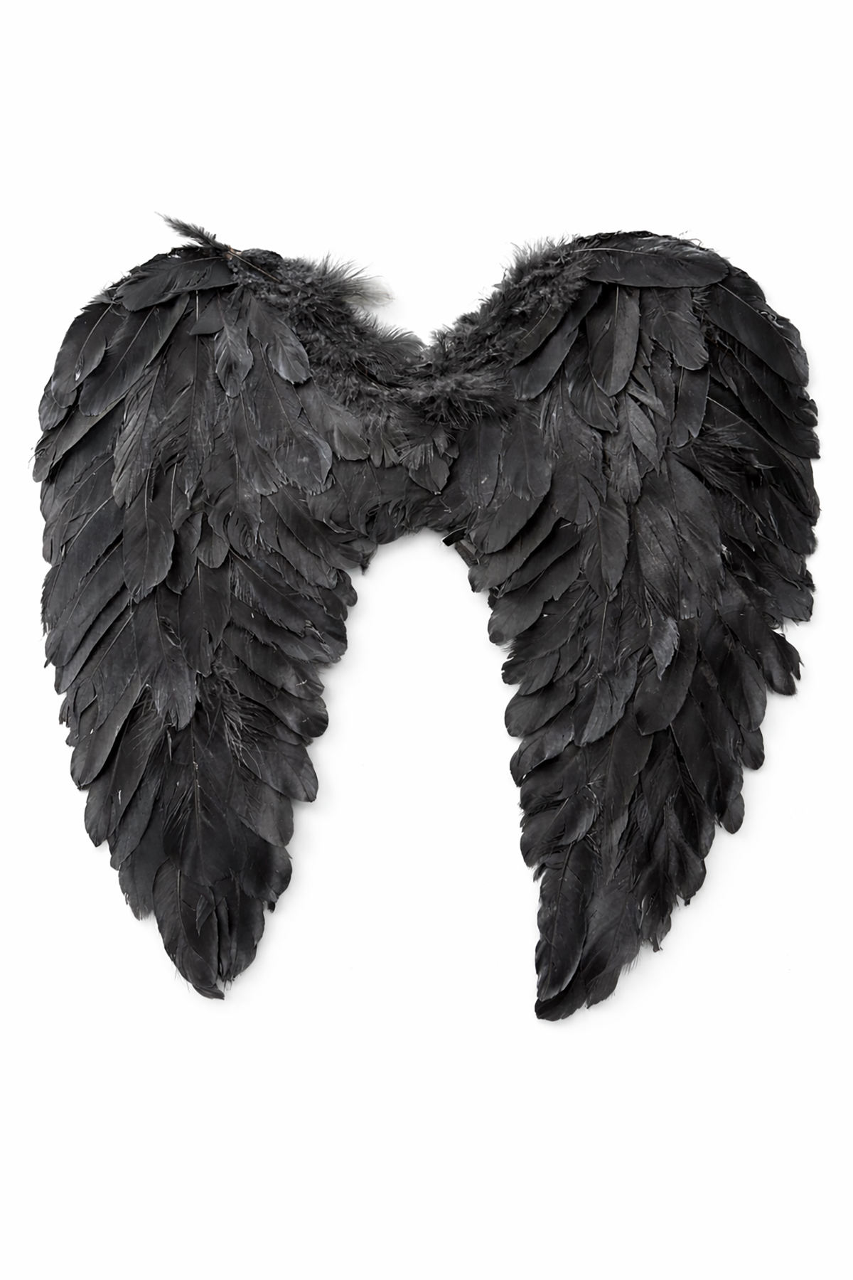 Siyah Renk Melek Kanat