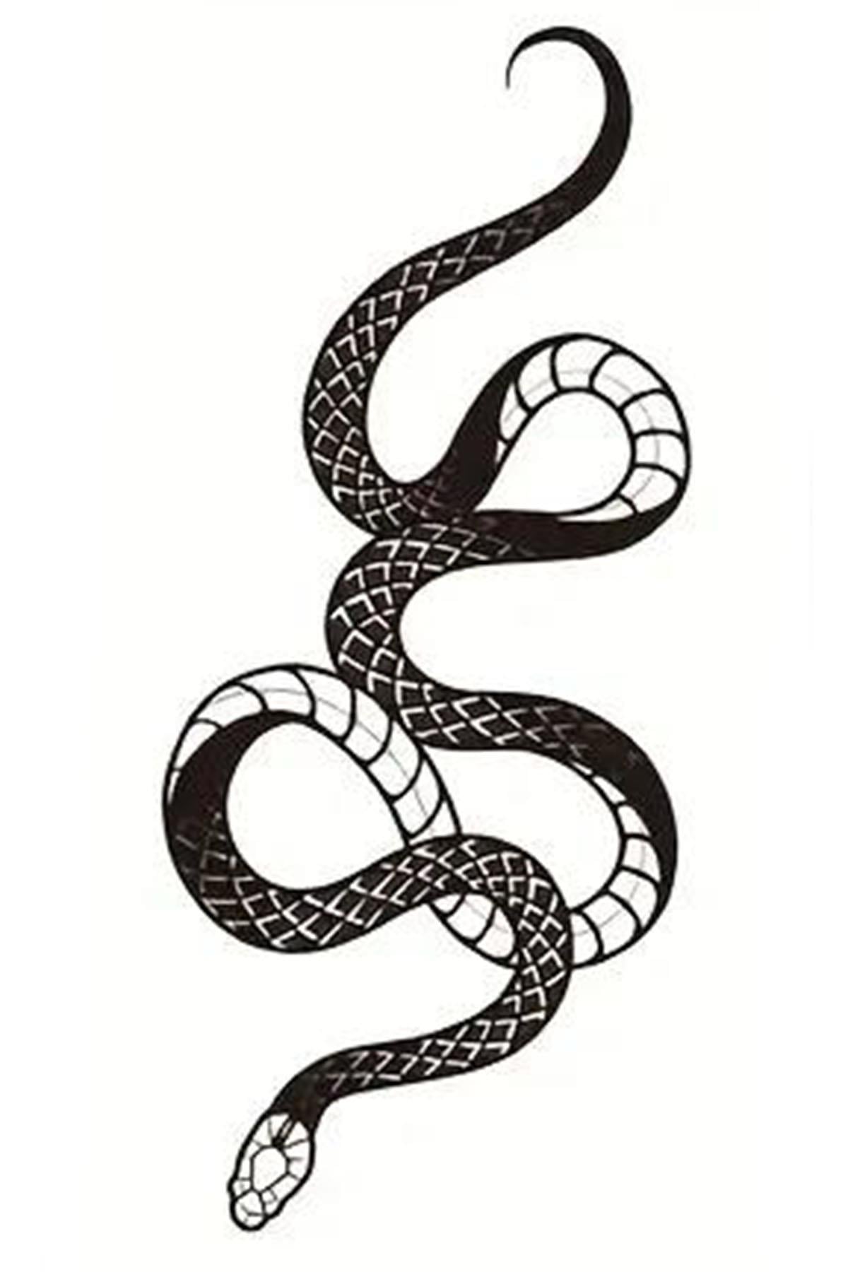Geçici Yılan Figürlü Mini Dövme Tattoo