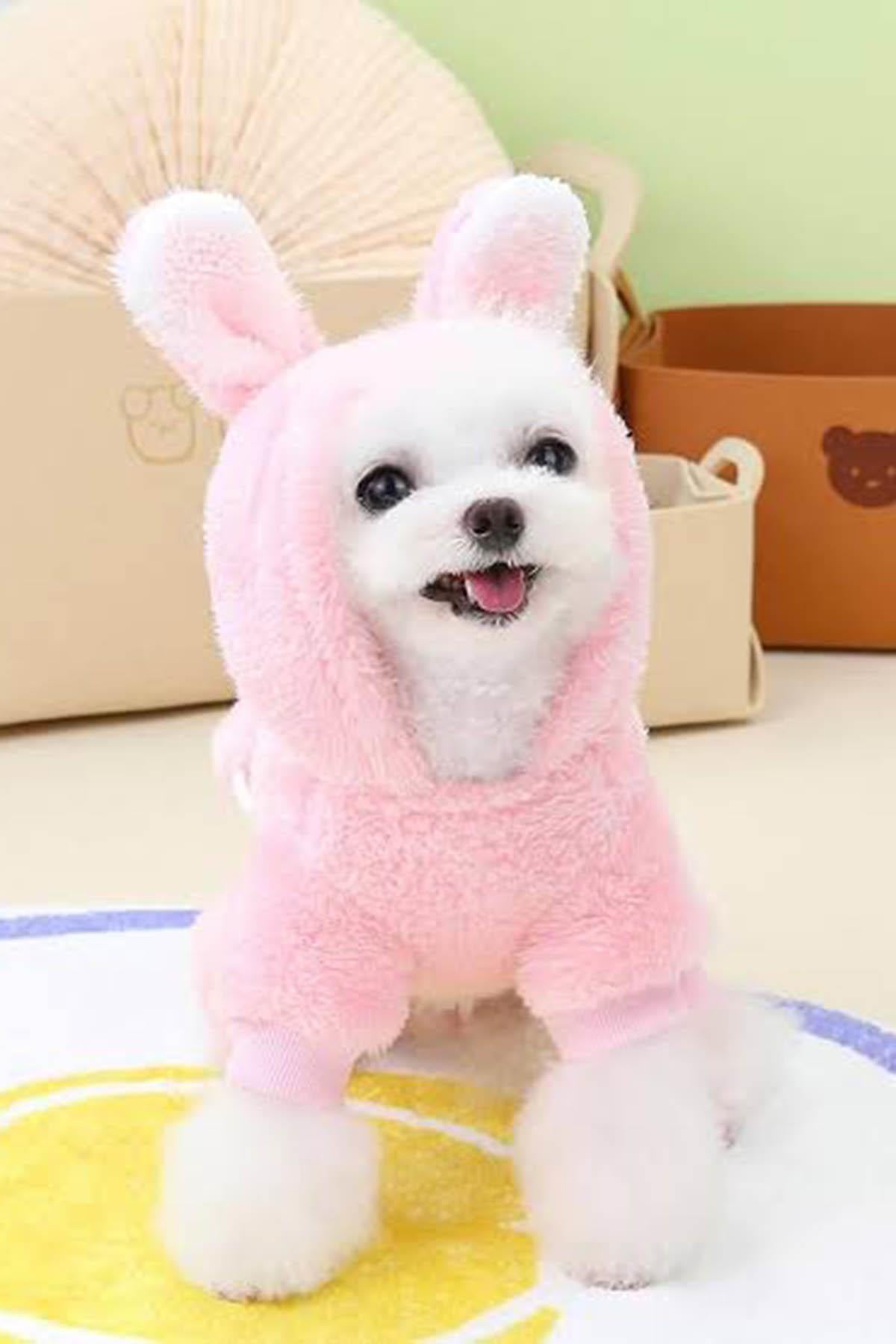 Pembe Renk Havuç Figürlü Çanta Detaylı  Peluş XL Köpek Tulum