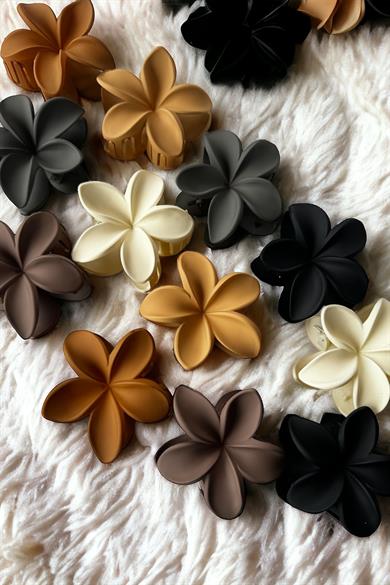 12li Karışık Renk Lotus Toka Set