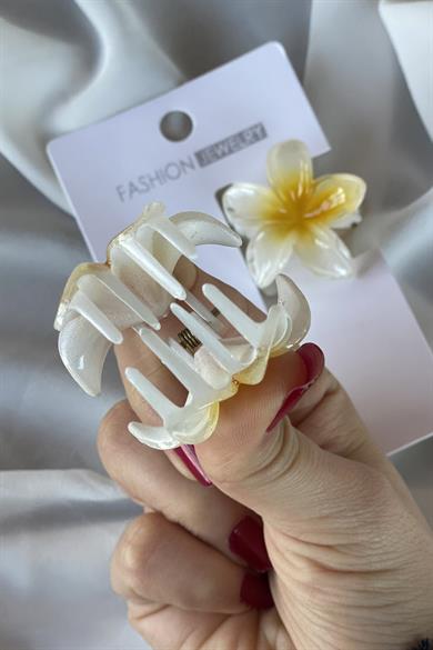 12`li  Karışık Renk Pens Lotus Toka Set