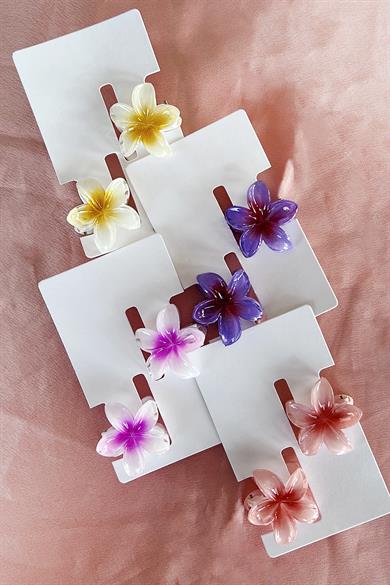 24lü Karışık Renk Lotus Toka Set