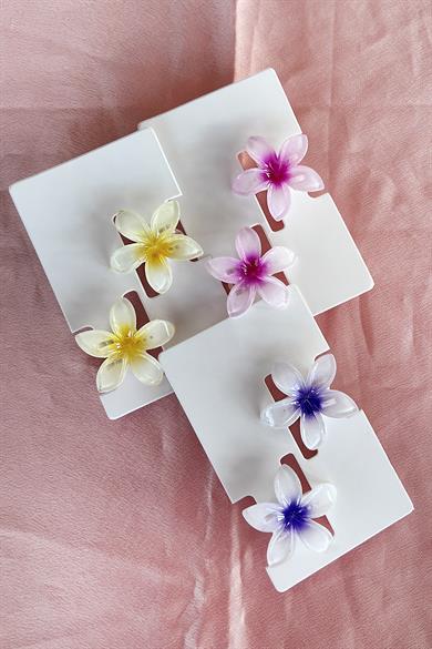 24lü Karışık Renk Pens Lotus Toka Set