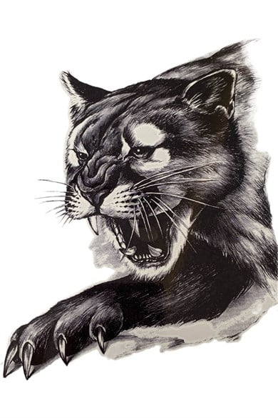 Kedi Büyük Geçici Dövme Tattoo