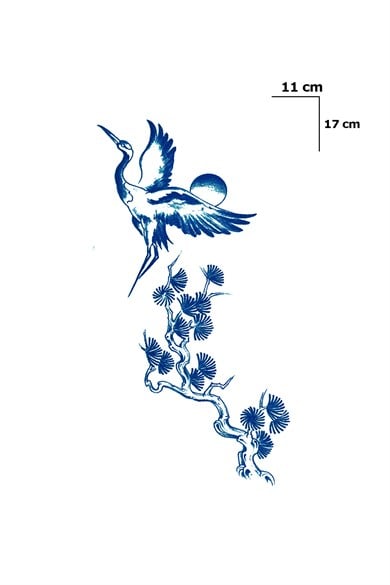 Kuş Sonradan Kararan Yarı Kalıcı Geçici Dövme Tattoo