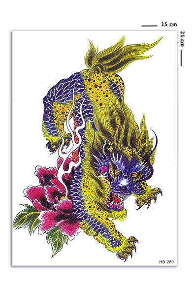  Ejderha Geçici Dövme Tattoo