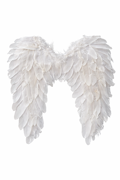 Beyaz Renk Melek Kanat