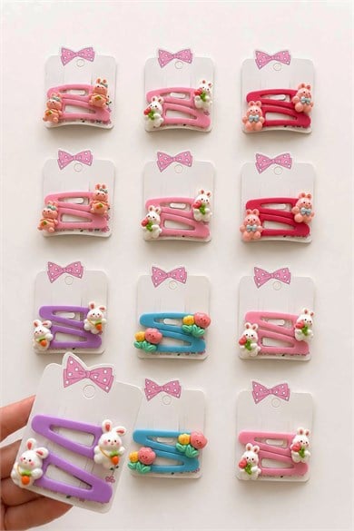 12li Karışık Renk Yan Toka Set