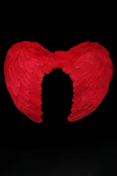 Kırmızı Renk Melek Kanadı 