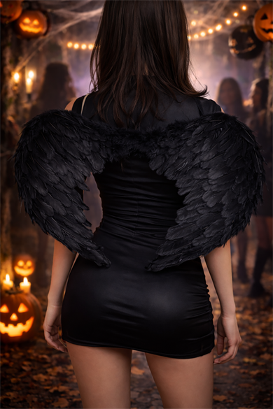 Siyah Renk Melek Kanadı 