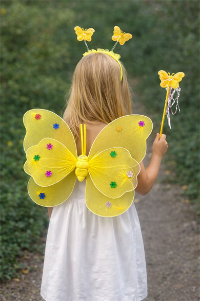 Sarı Renk Kanat /Asa /Taç Set