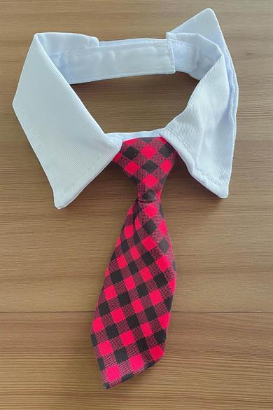 Fuşya Ve Beyaz Renk Kravat Kedi Köpek Tasması