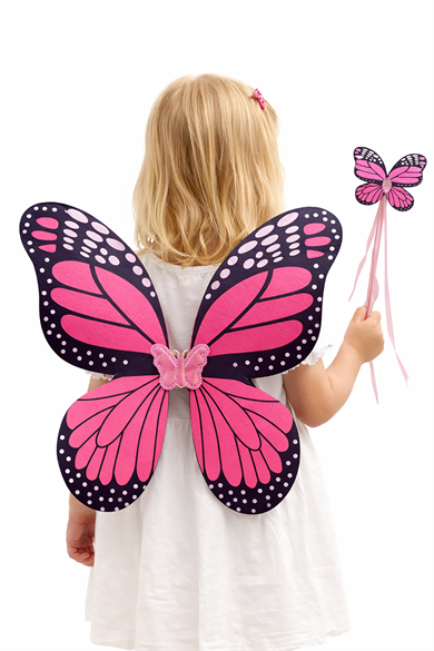 Pembe Renk Kelebek Figürlü Kanat / Asa Set