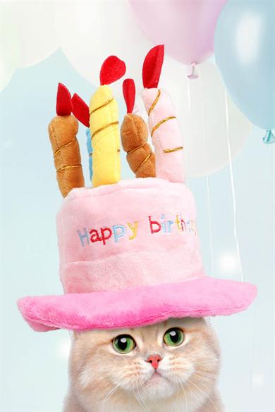 Pembe Renk Mum Figürlü Happy Birthday Yazılı Kedi Köpek Şapkası