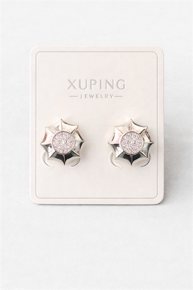 Gümüş Renk Taş Detaylı Çelik Xupıng VİP Küpe