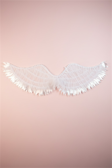 Beyaz Renk Işıklı Melek Kanadı