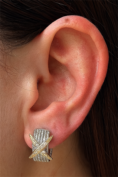 Çift Renk Taş Detaylı YSX Küpe