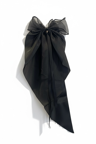 Siyah Renk Kurdele Detaylı Pens Toka  