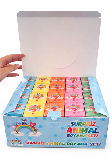 20li Karışık Figürlü Sürpriz Boyama Seti
