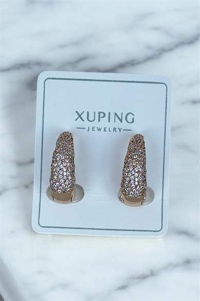 Altın Renk Taş Detaylı Çelik Halka Xupıng Küpe (Çift)