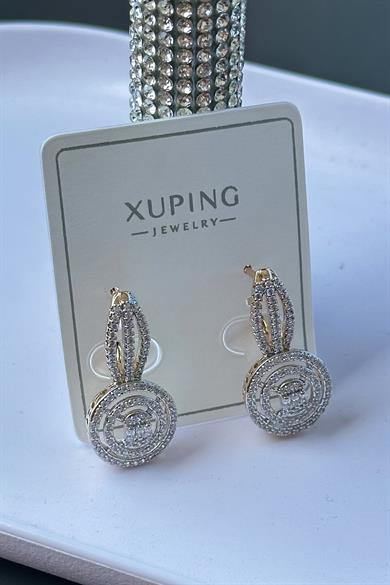 Altın Renk Taş Detaylı Çelik Halka Xupıng Küpe (Çift)