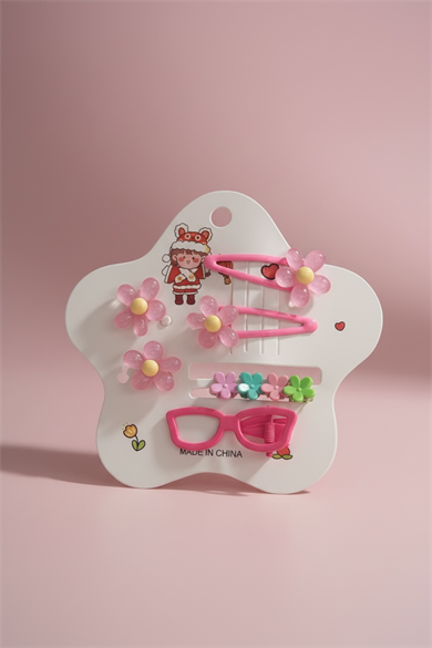 Karışık Renk Toka Ve Yan Toka Set