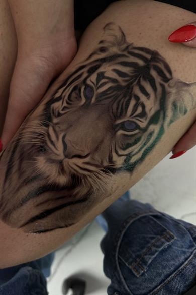 Bengal Kaplan Geçici Dövme Tattoo