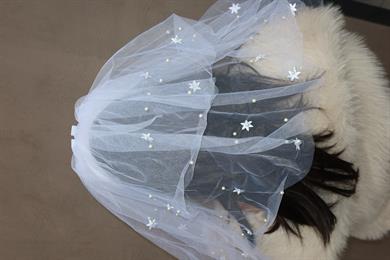 Beyaz Renk Bride Yazılı Duvak Detaylı Gelin Taç