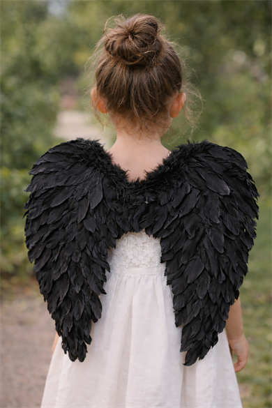 Siyah Renk Melek Kanat