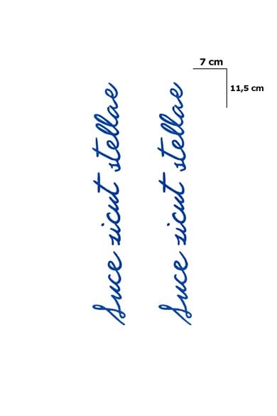 Yazılı Sonradan Kararan Yarı Kalıcı Geçici Dövme Tattoo