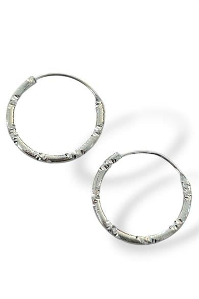 Gümüş Renk Taş Detaylı Halka Küpe (Çift)