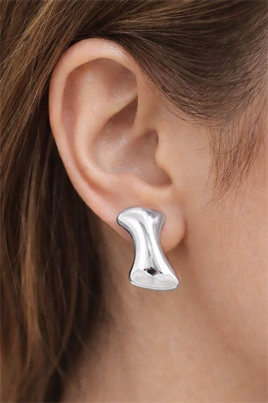 Gümüş Renk Çelik Küpe (Çift)